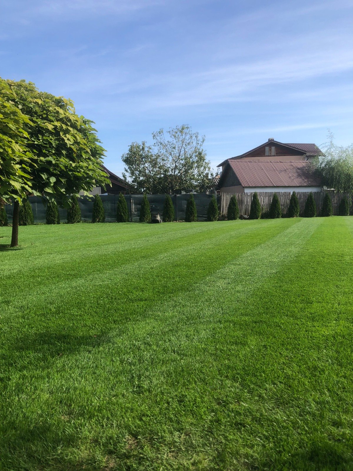 Gazon după scarificare