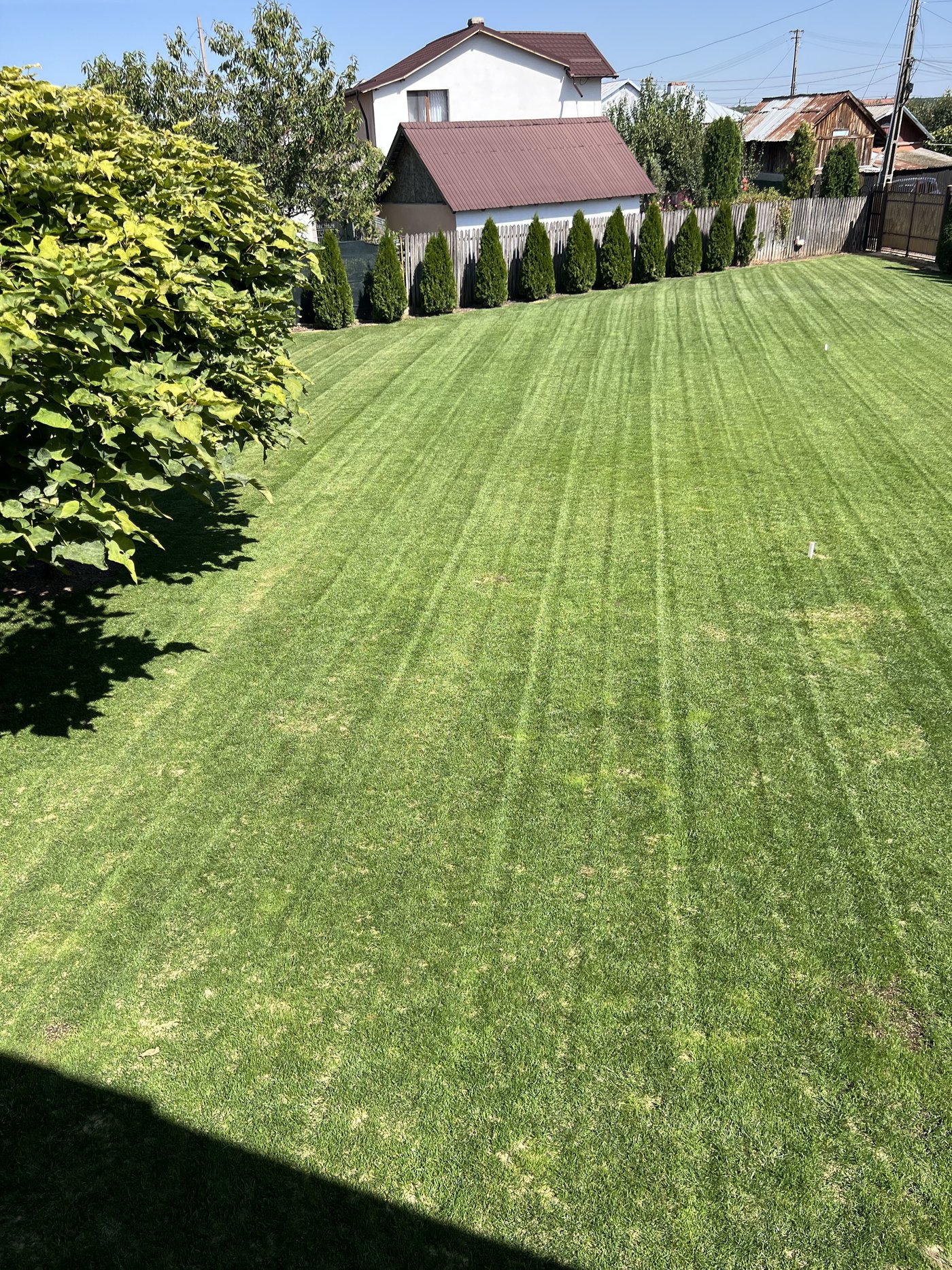 Gazon înainte de aerare